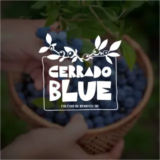 Cerrado Blue