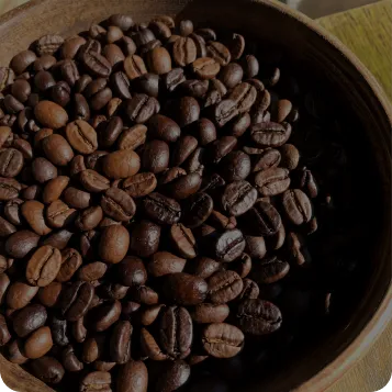 Café e grãos premium brasileiros de exportação — principal produto da Castro Export